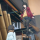 Illustration for article titled The 13 Anime of Spring 2016 You Should Be Watching